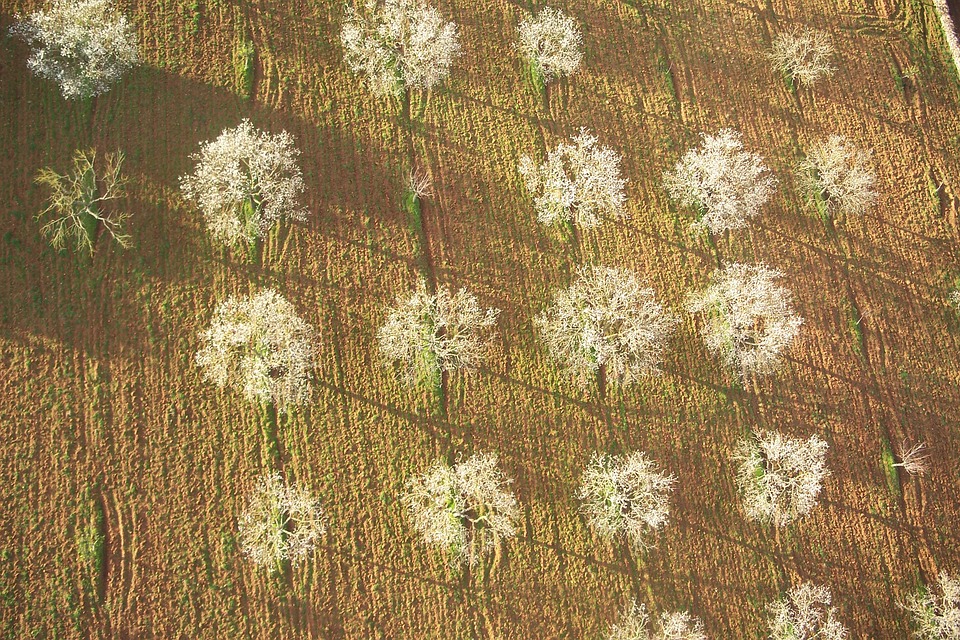 Mallorca en Primavera