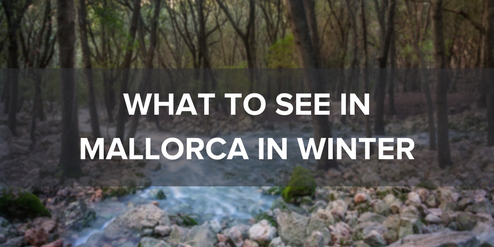 What to see in Mallorca in Winter