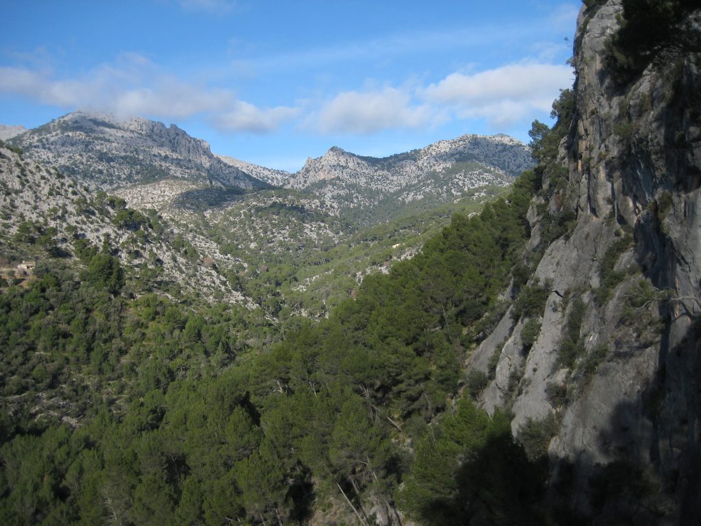 Routen auf Mallorca die Sie sich ansehen sollten