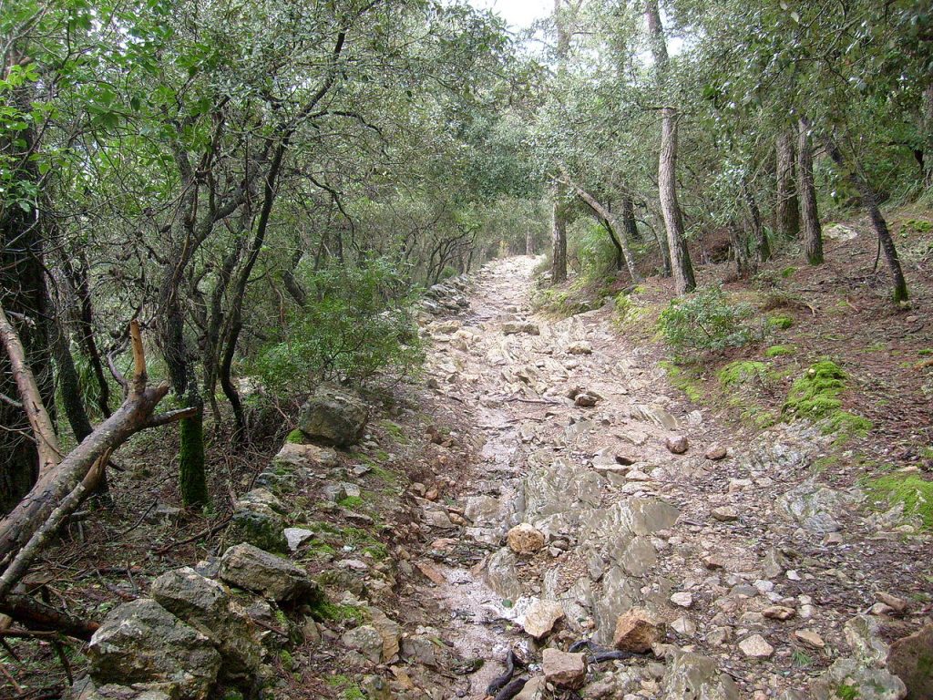 Wanderrouten auf Mallorca (Teil 2)