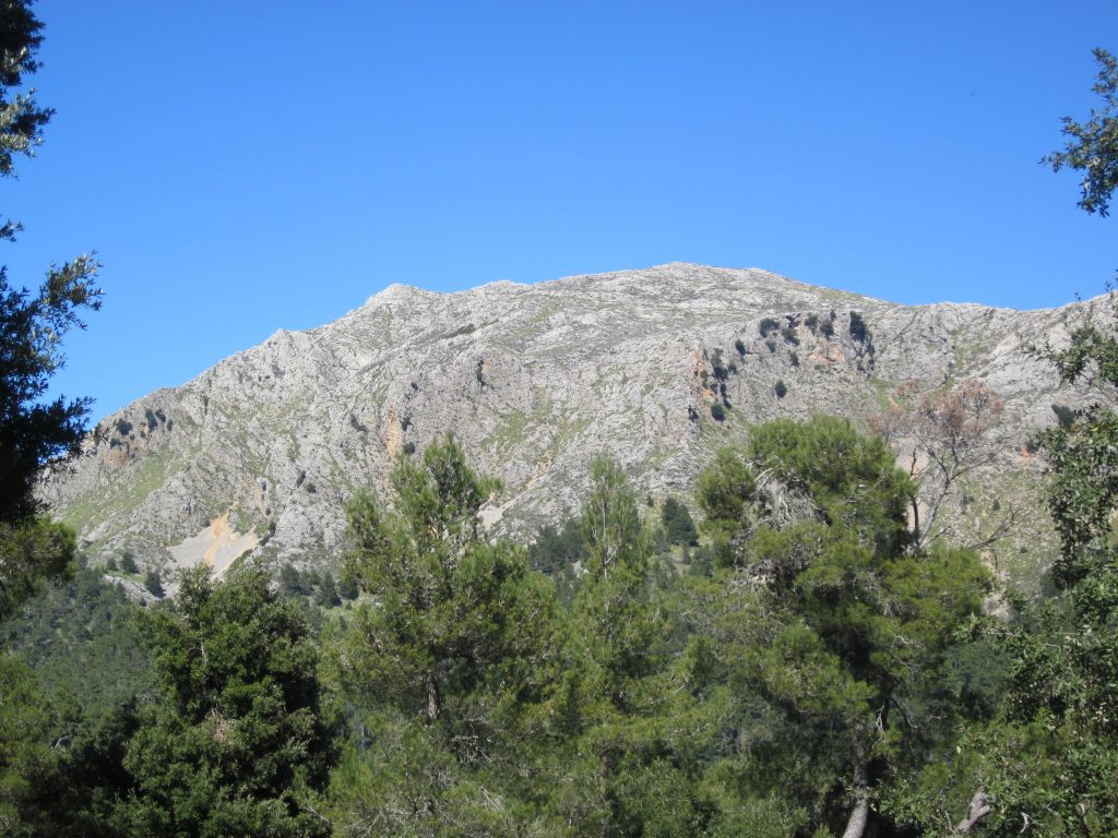 Hiking routes in Majorca (Part ll)