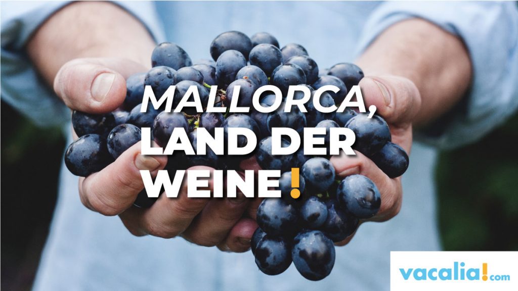 Mallorca, Land der Weine: von den Ursprungsbezeichnungen Pla i Llevant und Binisalem bis zur Serra Tramuntana - Costa Nord