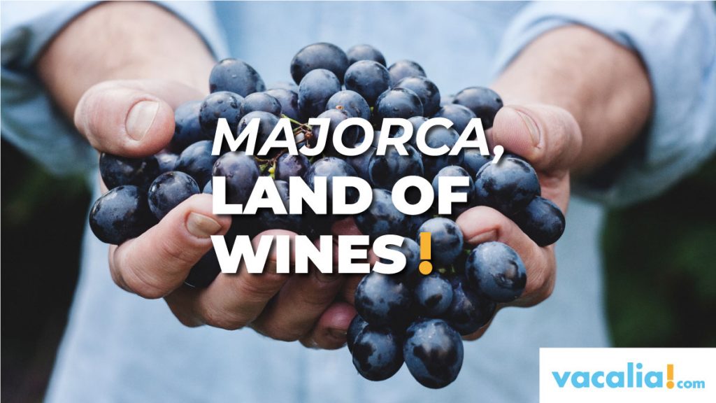 Mallorca, land of wines: from Pla - Llevant and Binissalem designation of origin to the Serra de Tramuntana - North Coast
