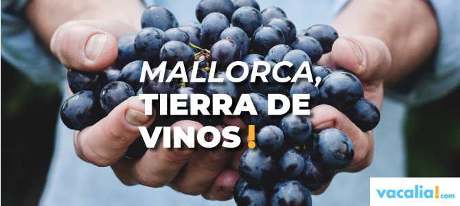 Mallorca, tierra de vinos: desde las denominaciones de origen Pla i Llevant y Binissalem a la Serra de Tramuntana-Costa Nord