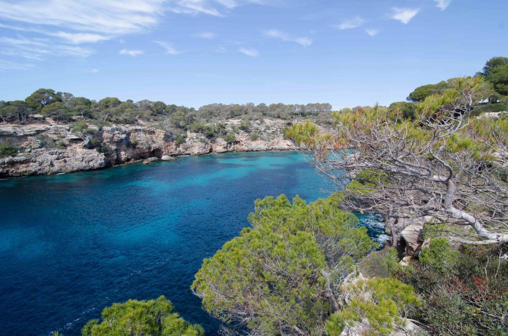 Eine Woche Urlaub auf Mallorca: einen Plan für jeden Tag