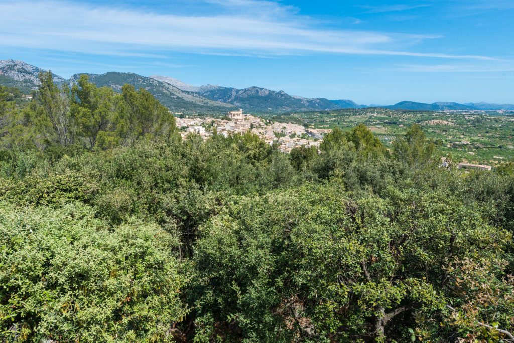 Pueblo a los pies de la Sierra de Tramontana en Mallorca