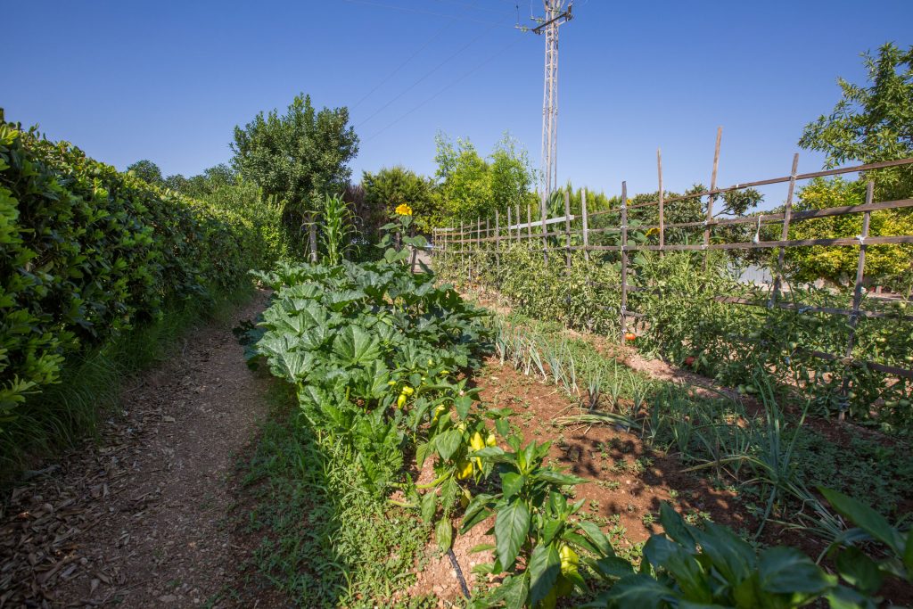 turismo rural mallorca