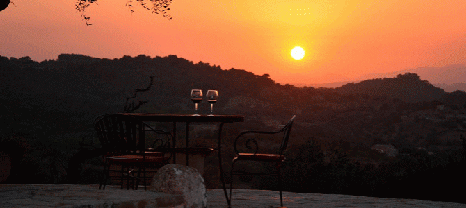 Die schönsten Bodegas und Weintouren auf Mallorca