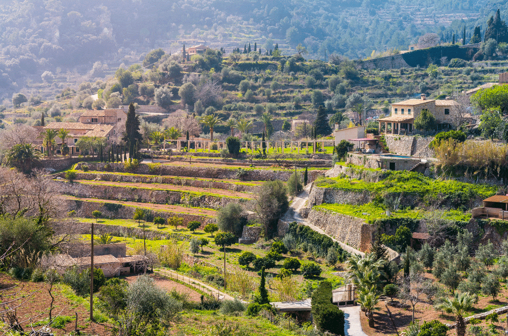 Die Landschaft um die Bodegas auf Mallorca ist eine Augenweide