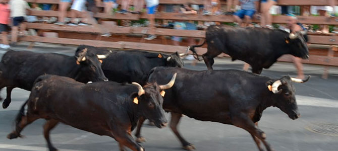 Das Stadtfest von Denia