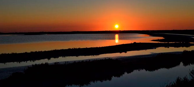 Disfruta de las mejores actividades en Chiclana de la Frontera