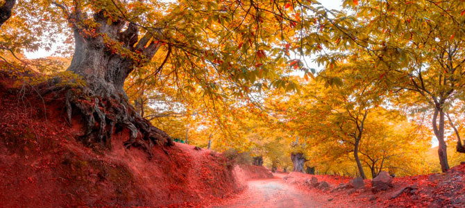 Entdecken Sie den Zauber des Herbstes im Genal-Tal