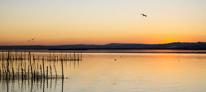 La Albufera