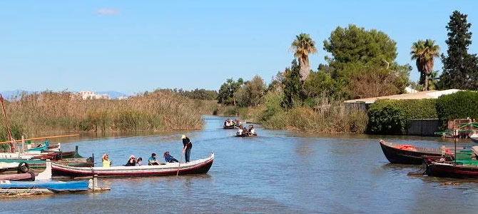 Boat rides in La Albufera